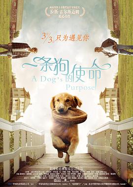 99久久精品国产高清一区二区